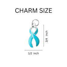 Load image into Gallery viewer, Teal Ribbon Horseshoe Key Chains - The Awareness Company