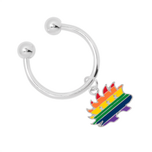 Load image into Gallery viewer, Libertarian Rainbow Porcupine Horseshoe Key Chains