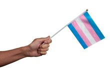 Load image into Gallery viewer, Small Transgender Flags on a Stick