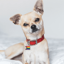 Load image into Gallery viewer, Daniel Quasar Flag Hanging Charm - The Awareness Company