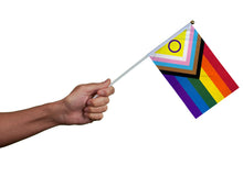 Load image into Gallery viewer, Small Daniel Quasar Progress Pride Intersex-Inclusive Flags on a Stick