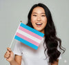 Small Transgender Flags on a Stick