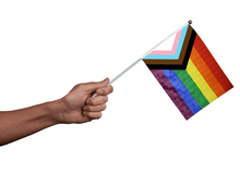 Load image into Gallery viewer, Large Daniel Quasar Flags on a Stick - The Awareness Company