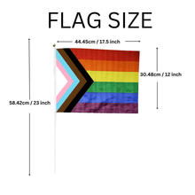 Load image into Gallery viewer, Large Daniel Quasar Flags on a Stick - The Awareness Company