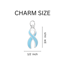 Load image into Gallery viewer, Light Blue Ribbon Split Style Key Chains - The Awareness Company