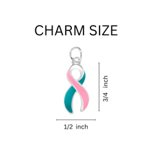 Load image into Gallery viewer, Pink &amp; Teal Ribbon Horseshoe Style Key Chains - The Awareness Company