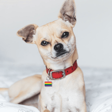Load image into Gallery viewer, Rainbow Rectangle Flag Hanging Charms - The Awareness Company