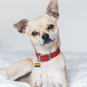 Rainbow Rectangle Flag Hanging Charms - The Awareness Company