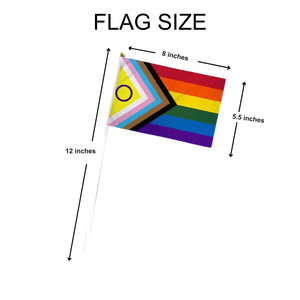 Small Daniel Quasar Progress Pride Intersex - Inclusive Flags on a Stick - The Awareness Company