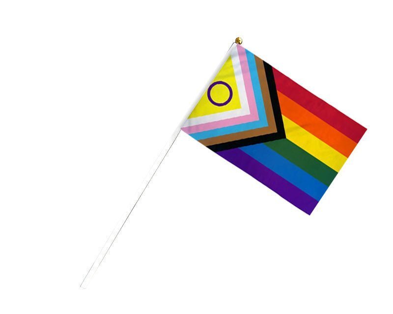 Small Daniel Quasar Progress Pride Intersex - Inclusive Flags on a Stick - The Awareness Company