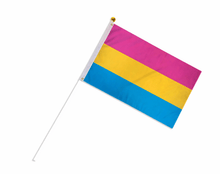 Load image into Gallery viewer, Small Pansexual Flags on a Stick - The Awareness Company