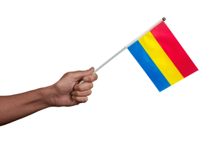 Small Pansexual Flags on a Stick - The Awareness Company