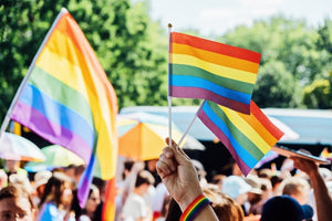 Small Rainbow Flags on a Stick - The Awareness Company
