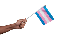 Load image into Gallery viewer, Small Transgender Flags on a Stick - The Awareness Company