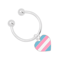 Load image into Gallery viewer, Transgender Flag Heart Horseshoe Key Chains - The Awareness Company