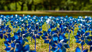 Large Blue Pinwheels for Child Abuse Prevention - The Awareness Company