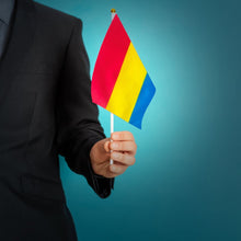 Load image into Gallery viewer, Small Pansexual Flags on a Stick for PRIDE Parades and Events - The Awareness Company