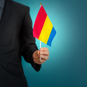 Small Pansexual Flags on a Stick for PRIDE Parades and Events - The Awareness Company